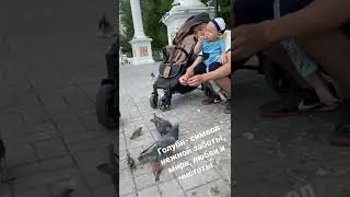 Голуби 🕊