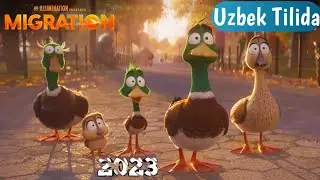 Yangi Multfilm / Tarjima Multfilm 2023 / Migrantlar / Uzbek Tilida