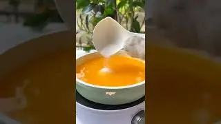 funny cat videosfunny cats