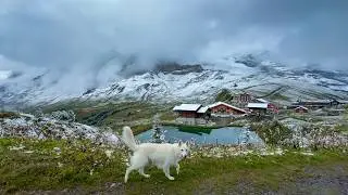 Autumn & winter start in Switzerland - Kleine Scheidegg - Niederhorn