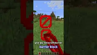 Minecrafts SECRET Items...