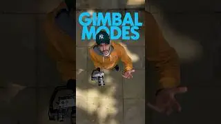 Gimbal Modes #gimbal #weebill3E