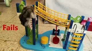 Hamster Oscar.  Season 1, Episode 1.