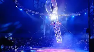 La circ în București #circ #circus #bucuresti #fun