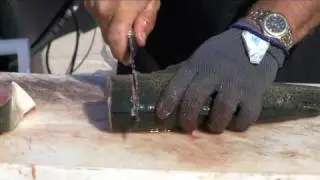 How to Fillet Trout or Salmon