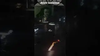 Кто знает что это? Пишите в комментариях