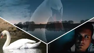 Two Swans (music video)