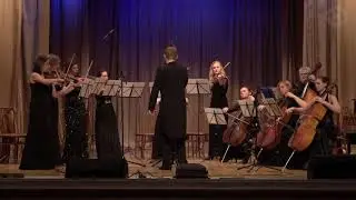 Камерный оркестр