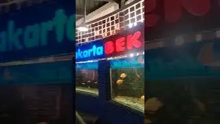 Bayi bermain dg ikan hias