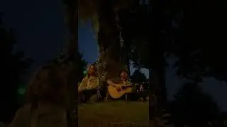 #lizer
