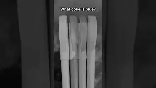 What color is BLUE? #guessthecolor #highlighter #blue #challenge #guess #intuitiontest