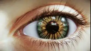 Wet Eye shader for Unity