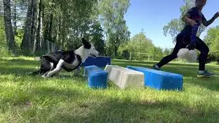 Rear push - improve starting power in agility