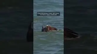 Идите к целям, даже если все вокруг считают вас глупцом!🫶🏼
