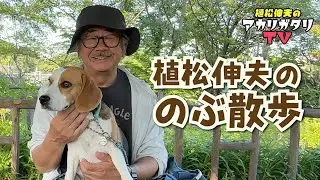 【植松伸夫のアカリガタリTV】第八回 / 植松伸夫 の のぶ散歩