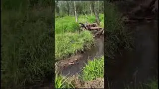 #трасса #квадроциклистов