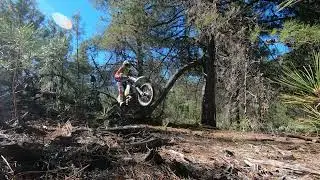 Husky 501s woods training. Jumping logs and stuff. #shorts #husky501 #husqvarna501