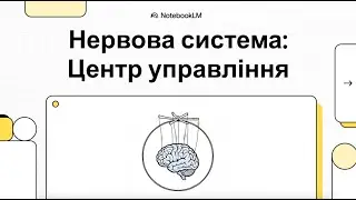 Нервова система  Центр управління