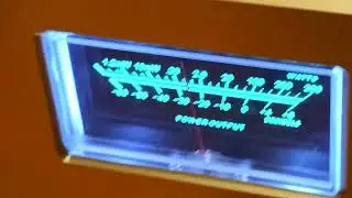Челентано на Тракте Кунаширского  DOOGEE S110