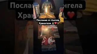 Послание от Ангела Хранителя ❤️🙏 #ВысшиеСилы Запись на личную консультацию +79046707505 Карина