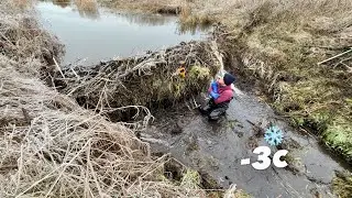 Breaking a Beaver Dam in Ice-Cold Water
