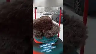 Гуляем в любую погоду.