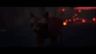 STRAY|№1