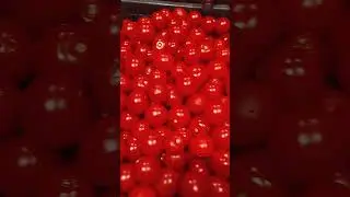 Помидоры Черри.Цена.Магазин Сильпо#помидоры#черри#цена#сильпо