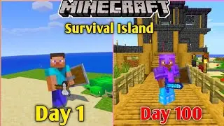 I Survived 100 Days on a Survival Island