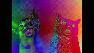 Preview 2 Numa Cat MIDI Effects