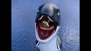 From bird to blubber in one simple trick! 