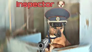 Tuku the dog 🐕 , Inspection of my master 🧐