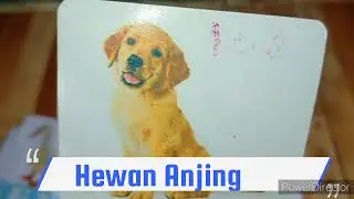 Mengenal nama nama hewan Full HD 1080p MEDIUM FR30