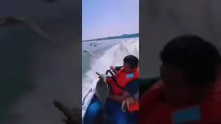 🗣️Наглый гусь😃Смешные видео 2021 😁новинки 2021