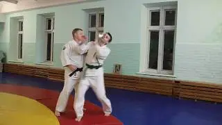 Входы и атеми в айкидо
