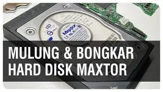 Mulung & Bongkar Hard Disk Maxtor, Dapet Apa?