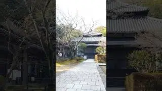 Suasana di Konoha saat ini