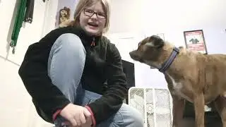 Playing Fetch and Tug a War with Dog