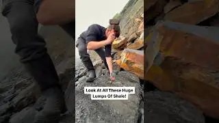 Searching HUGE Slabs For Fossils! 🦑🐊🔨