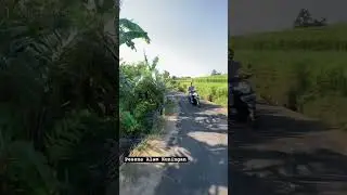 SUASANA ALAM KUNINGAN JAWA BARAT #kuningan #desa #kampung