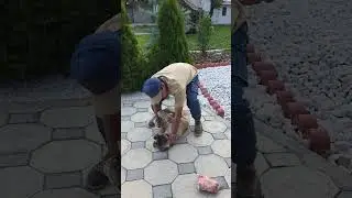 Пищевая агрессия.