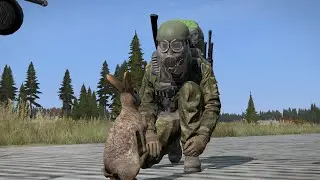 dayz за кепку