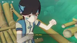 Genshin Impact #11 :The Great Water P I G
