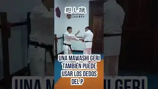 Uechi Ryu Sokusen Geri #shorts