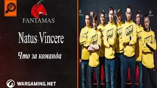 NAVI-Natus Vincere | Что за команда