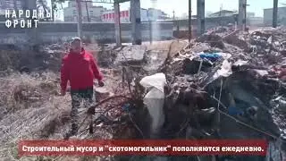 В Улан-Удэ свалка-скотомогильник соседствует с детской спортивной школой