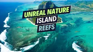TOP 10 Most Breathtaking Island Reefs Around The World 2025