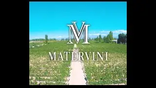 Matervini Winery, Mendoza, Argentina. Vineyards and Drone