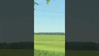 ПОШЕЛ ПОКОС! РАБОТАЙТЕ, БРАТЬЯ!