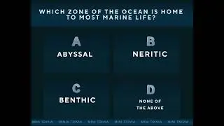 Level Wise II Quiz Game | Knowledge Base App | Master Level 10 Question 8